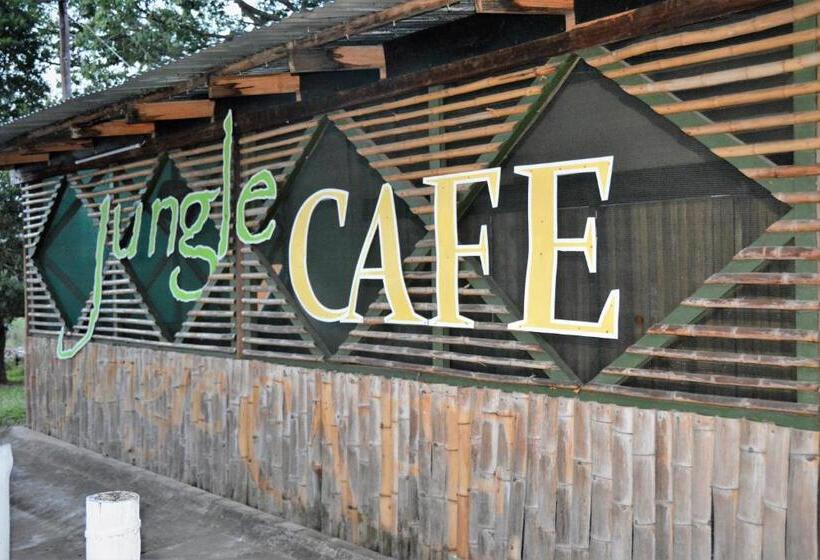 Общежитие Hazyview Adventure Backpackers