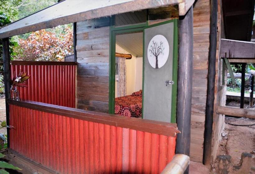 Общежитие Hazyview Adventure Backpackers