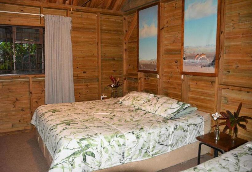 Общежитие Hazyview Adventure Backpackers