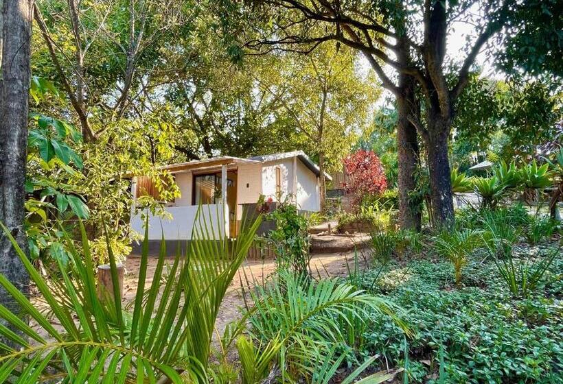 Общежитие Hazyview Adventure Backpackers