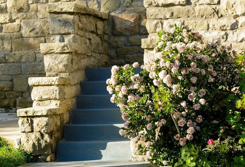 هاستل Karoo Soul