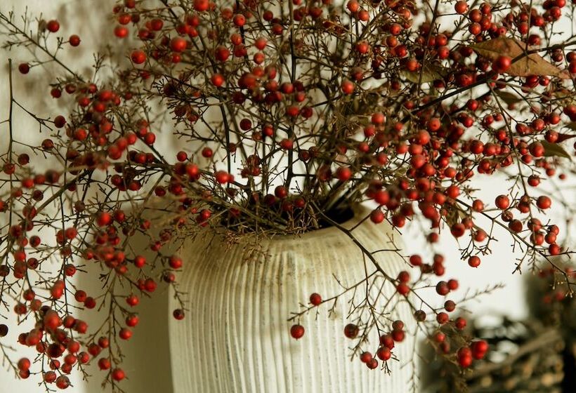 هاستل Karoo Soul