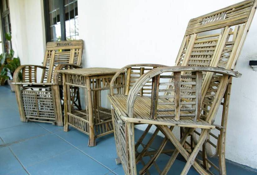 هاستل Karoo Soul