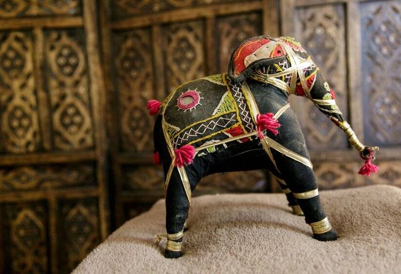 هاستل Karoo Soul