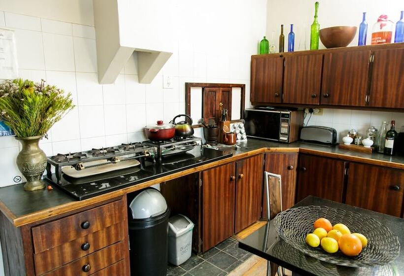 هاستل Karoo Soul