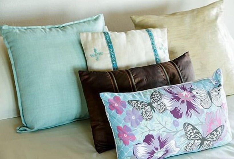 هاستل Karoo Soul