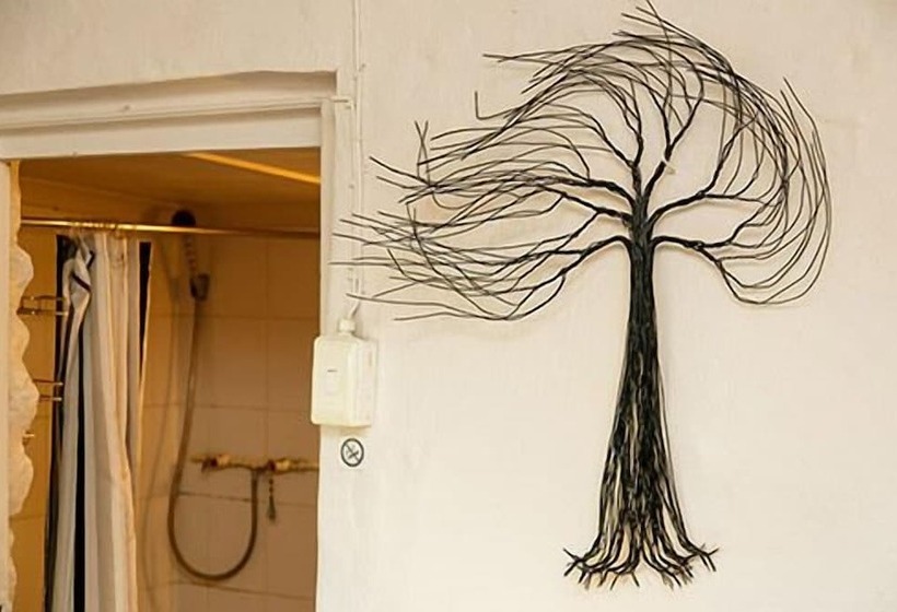 هاستل Karoo Soul