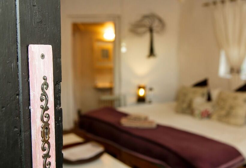 هاستل Karoo Soul