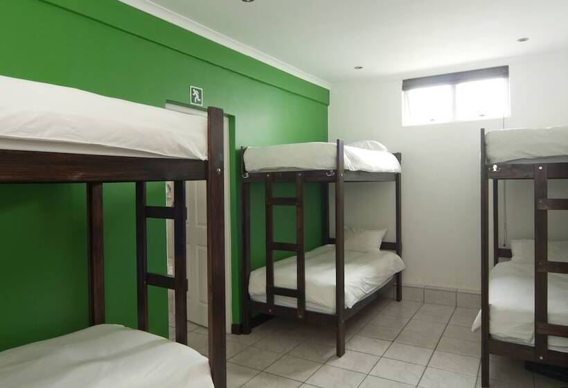 فندق صغير Stoked Backpackers