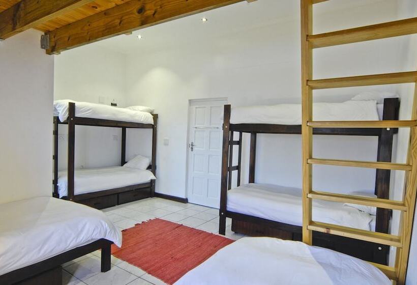 فندق صغير Stoked Backpackers