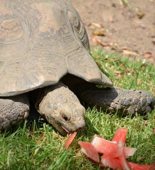 B&b Sauvignon Country Lodge