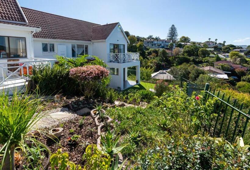 Bed and Breakfast 6 On Protea