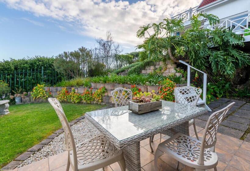 Bed and Breakfast 6 On Protea