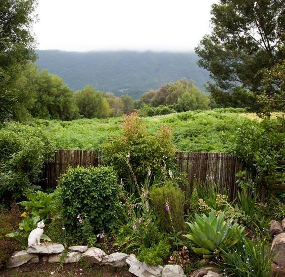 ベッドアンドブレックファースト Andelomi Forest Lodge