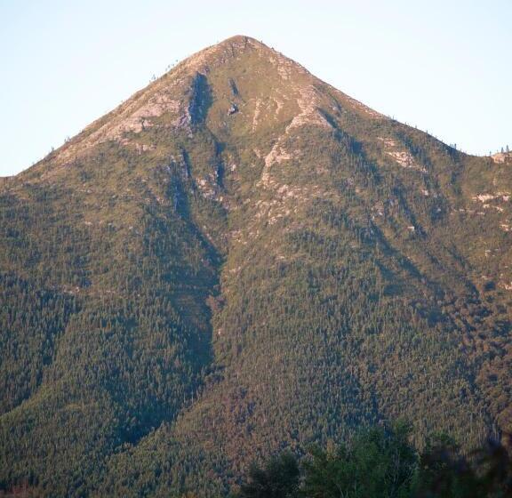 ベッドアンドブレックファースト Andelomi Forest Lodge