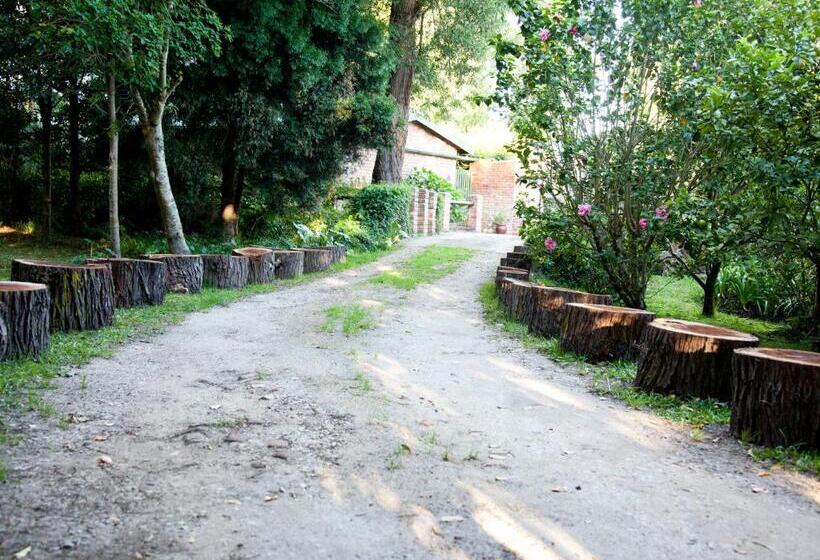 Bed and Breakfast Andelomi Forest Lodge