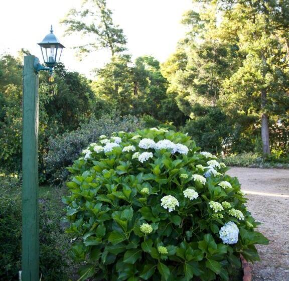 ベッドアンドブレックファースト Andelomi Forest Lodge