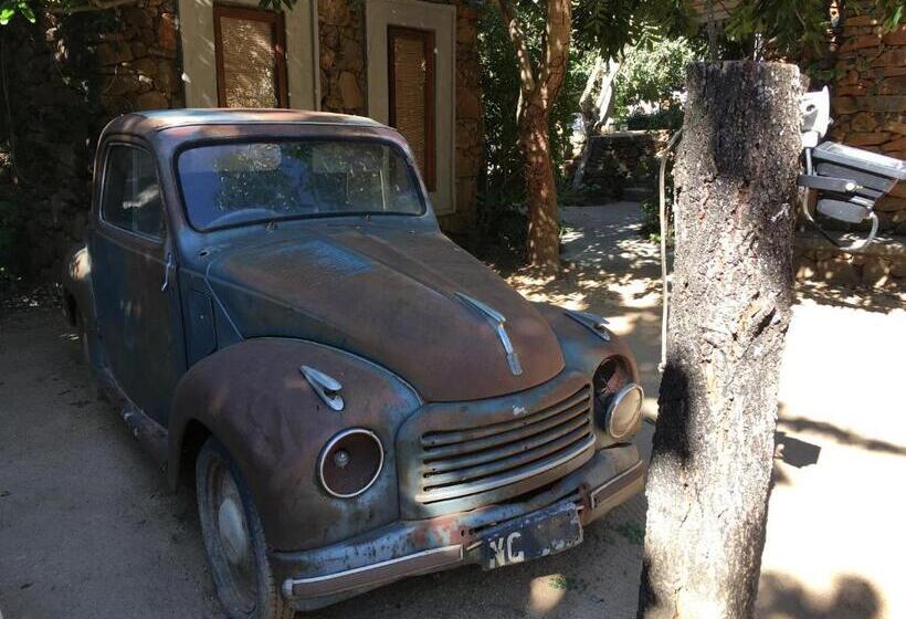 Bed and Breakfast Ashbourne Country Escape Hazyview