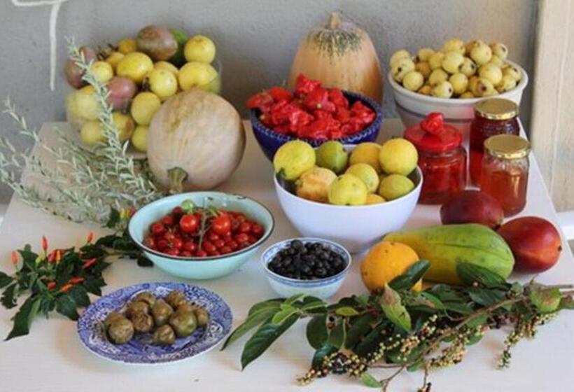 Bed and Breakfast Ashbourne Country Escape Hazyview