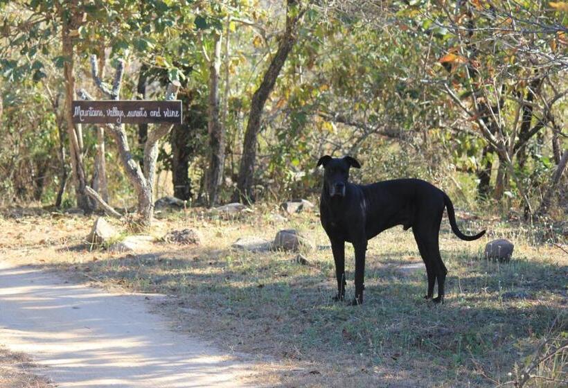 Bed and Breakfast Ashbourne Country Escape Hazyview