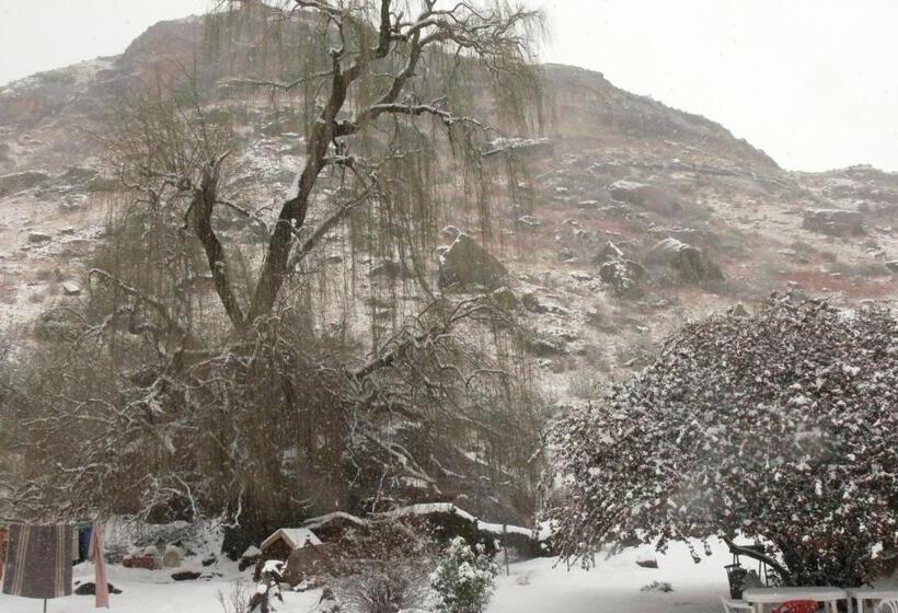 ベッドアンドブレックファースト Aspen Guest House