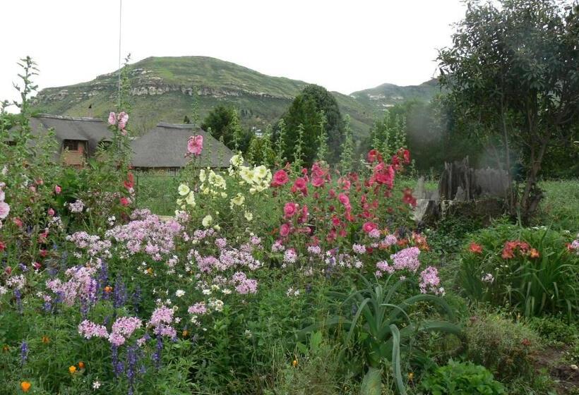 ベッドアンドブレックファースト Aspen Guest House