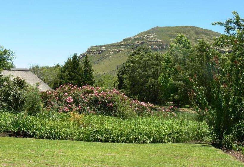 ベッドアンドブレックファースト Aspen Guest House