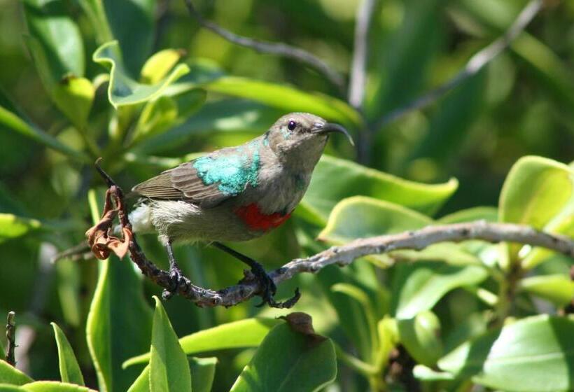צימר Beachcombers