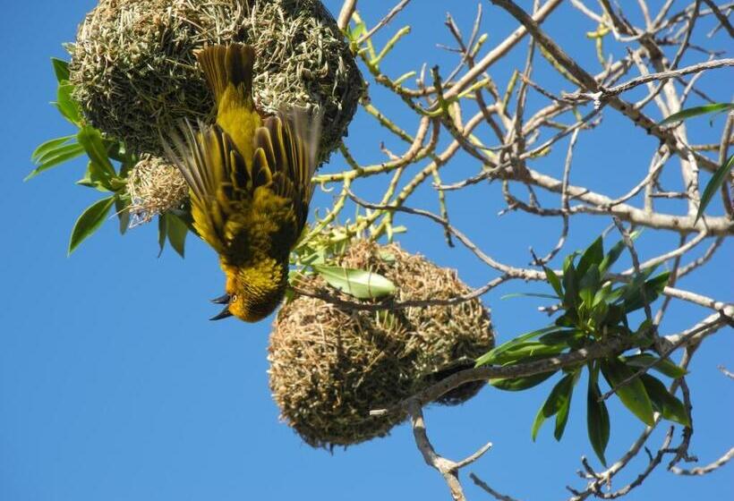 צימר Beachcombers