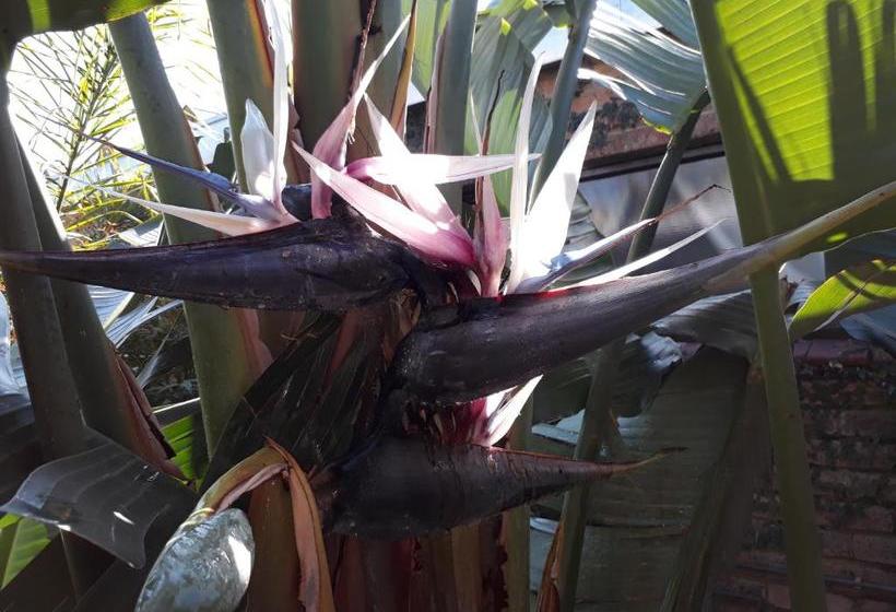 مبيت وإفطار Blessings Guesthouse