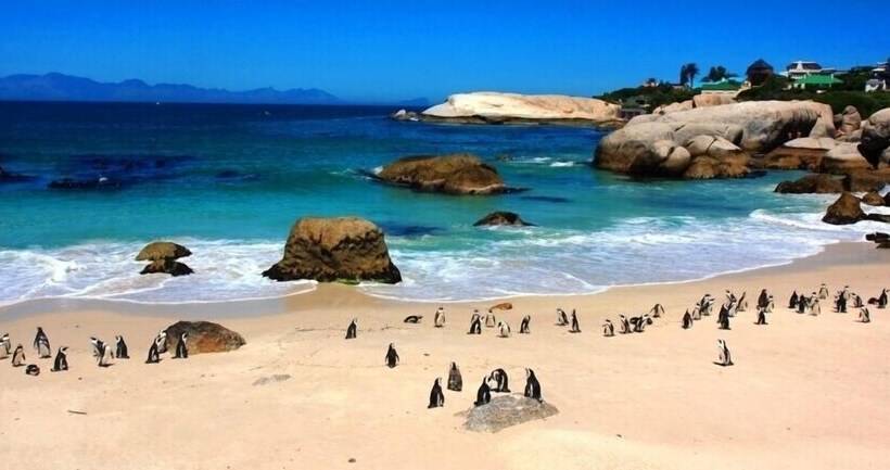 مبيت وإفطار Central Hotel Guest House