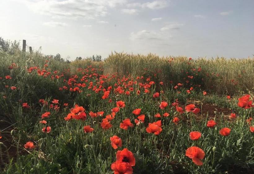 تختخواب و صبحانه Dar Zerhoune