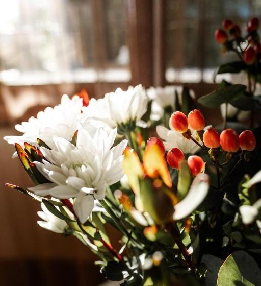 Bed and Breakfast Devereux Lodge