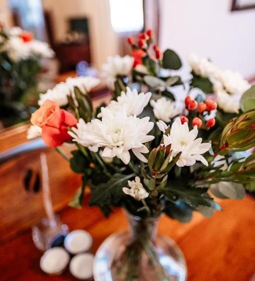 Bed and Breakfast Devereux Lodge