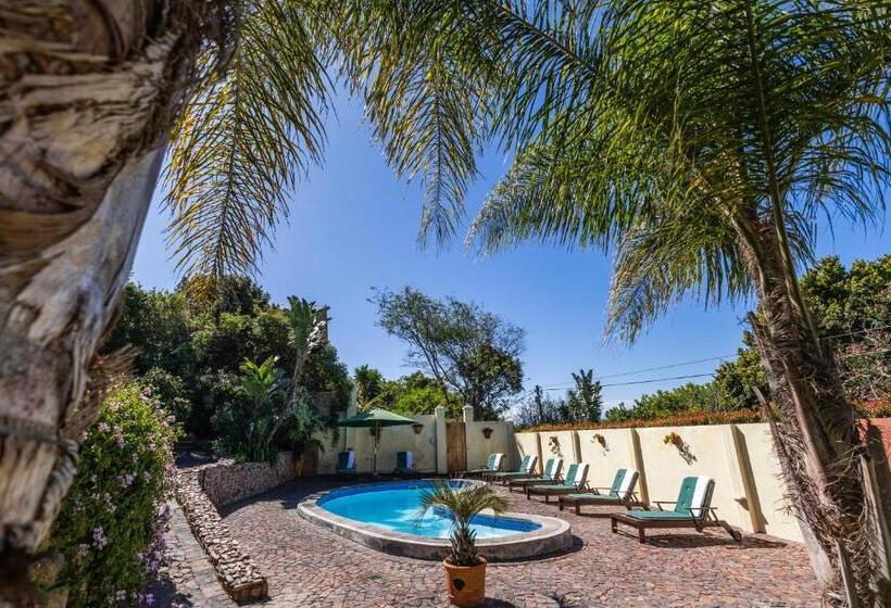 تختخواب و صبحانه Gästehaus Pinkepank