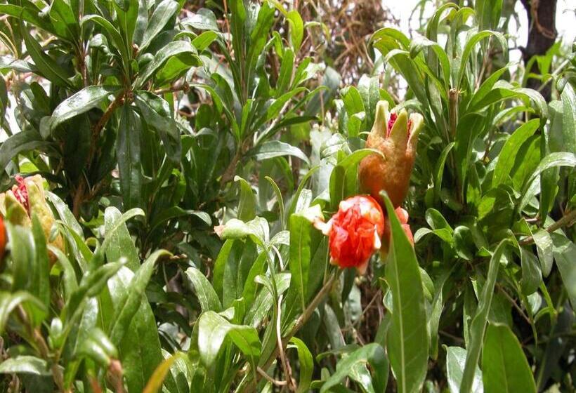 تختخواب و صبحانه Kasbah Iswan