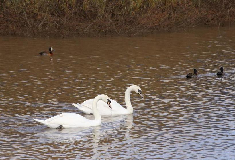 مبيت وإفطار La Riviera Boutique Guesthouse & Spa