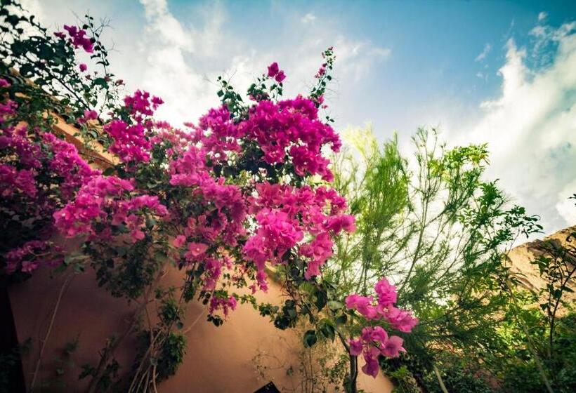 Bed and Breakfast La Terrasse Des Delices