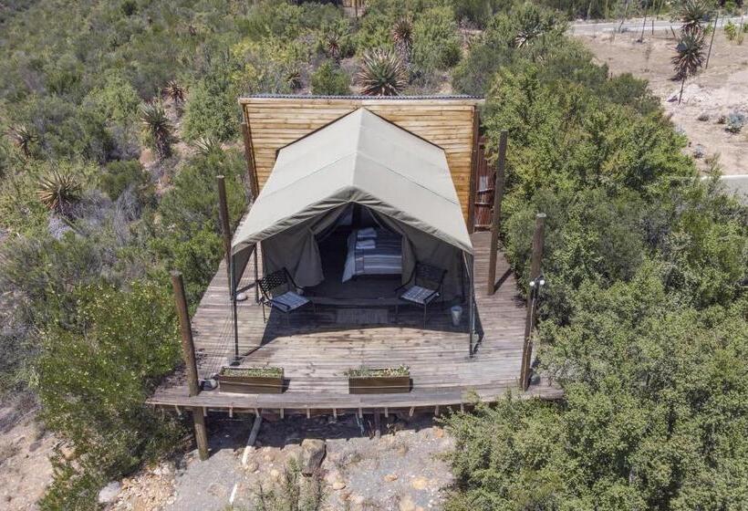 تختخواب و صبحانه Le Petit Karoo Ranch