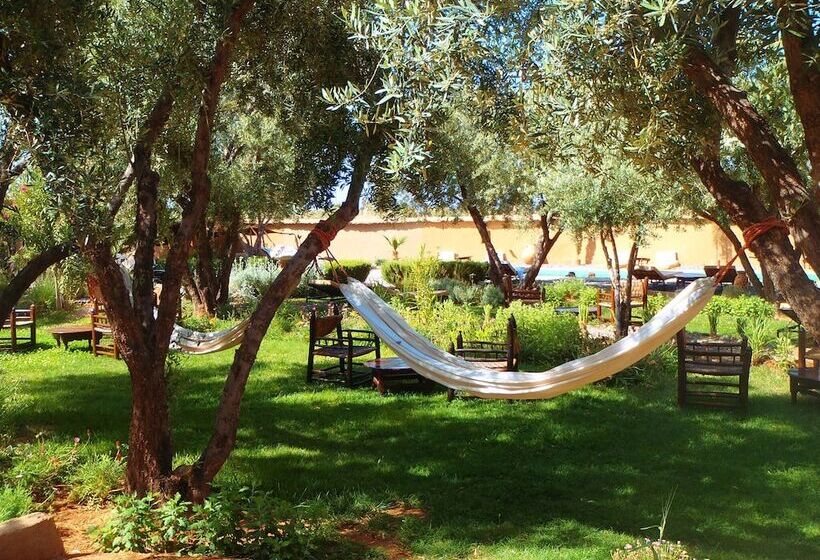 تختخواب و صبحانه Les Jardins De Skoura