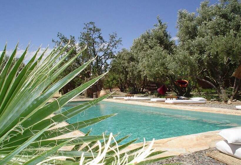 تختخواب و صبحانه Les Jardins De Skoura