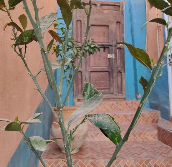 تختخواب و صبحانه Le Retour Au Calme Maison D Hôtes