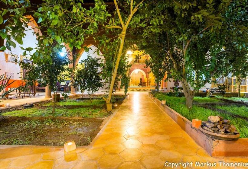 تختخواب و صبحانه Maison Merzouga Guest House