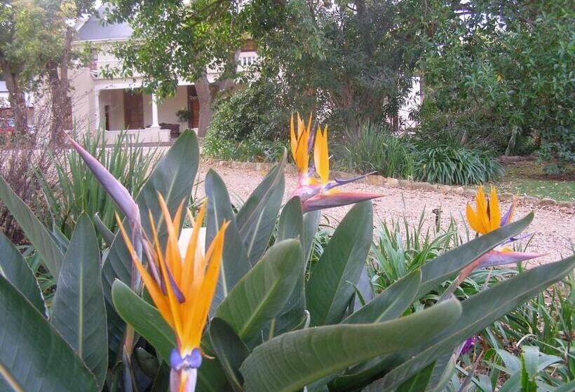 住宿加早餐  Ongegund Lodge