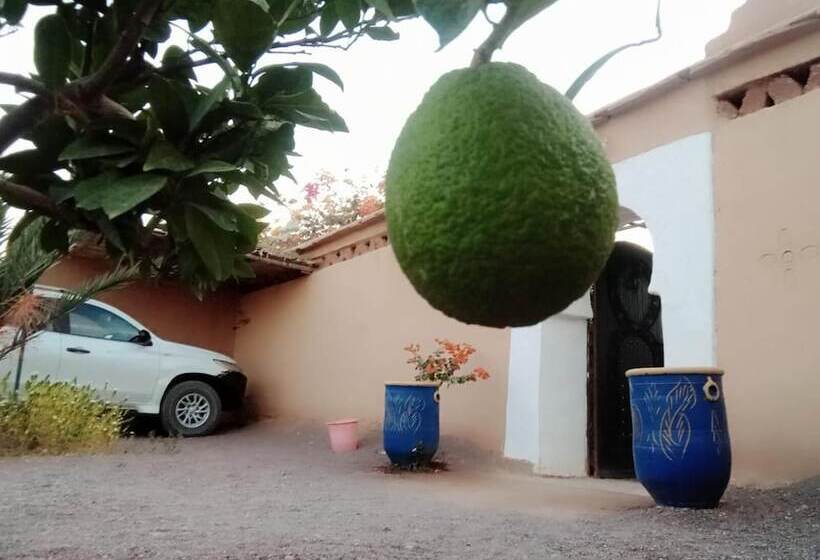 تختخواب و صبحانه Auberge Bassou