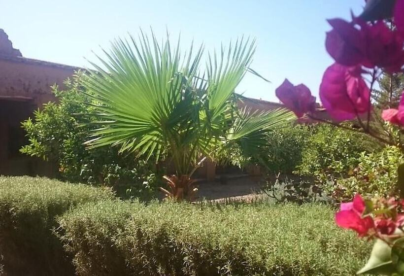 تختخواب و صبحانه Auberge Bassou