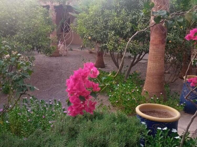 تختخواب و صبحانه Auberge Bassou