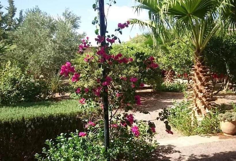 تختخواب و صبحانه Auberge Bassou