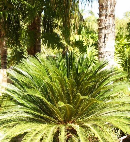 住宿加早餐  Riverbank Lodge