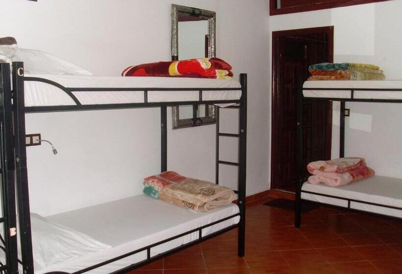 تختخواب و صبحانه The Medina Hostel